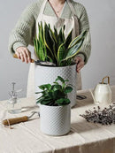 LE TAUCI Ceramic Pots for Plants, 6+8+10 Inch Planters for Indoor Plants, Plant Pots Indoor for Home and Office, Mid-Modern Century Flower Pots with Drainage Hole and Silicone Plug, Glaze Star Gray by GreenHaven Gardens