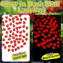 KIMOBER 100PCS Mini Luminous Ladybug Miniature Figurines,Glow in Dark Resin Animals Ladybug Figures for Fairy Garden Micro Landscape Decor Cake Topperr by GreenHaven Gardens