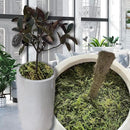 35 OZ Fake Moss for Potted Plants Artificial Moss for Fake Plants Faux Moss for Planters Decorative Moss for Craft and Home Decor… by CozyNest Decor