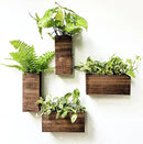 LaLaGreen Wood Planter Box for Plants (4 Pack) Wooden Hanging Wall Planters for Indoor Plant Holder Vase for Dried Flowers, Modern Living Room Bedroom Kitchen Home Office Decor by GreenHaven Gardens
