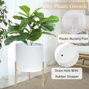 ARNIS Modern Plant Pots, Set of 2 Round Large Planters with Stand, Large Size Metal Pots with Drainage Holes for Living Room, Office, Garden or Balcony, 10.5 &12.25 Inch, White & Gold by CozyNest Decor