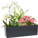 GardenBasix Elongated Self Watering Planter Pots Window Box 5.5 x 16 inch Indoor Home Garden Modern Decorative Planter Pot for All House Plants Flowers Herbs (Dark Grey,1-Pack) by GreenHaven Gardens