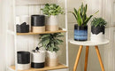 Nihow Self Watering Planter Accessory Set with Wick, Mesh - Enhance Your Plant's Growth and Health Easily by CozyNest Decor