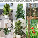 Moss Pole 47.5 Inch - Monstera Plant Support, 4 Packs 16 Inch Plant Stakes for Indoor Plants Coco Coir Moss Pole Sticks for Climbing Potted Live Plants, Pothos, Philodendron, with Garden Ties by GreenHaven Gardens