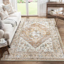 Lahome Boho Area Rug for Living Room - 4x6 Rug Washable Non-Slip Throw Bedroom Rug Lightweight Non-Shedding Large Kitchen Carpet, Oriental Distressed Print Carpet for Office Classroom Dining Room by TinyTreasures Baby Boutique