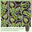 Yaomiao 200 Pcs 2 Inch Clear Mini Plastic Plant Pot Nursery Seedling Pots Seed Starter with Drainage Holes for Indoor Outdoor Garden Succulent Plants Cuttings Transplanting by GreenHaven Gardens