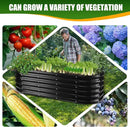 17" Tall Elevated Oval Metal Raised Garden Bed - 5ft x 2ft in Size and 0.8MM Thick Durable Planter Bed/Box for Vegetables Flowers Succulent at Patio/Garden Outdoor (Black, 5X2X1.4 FT) by GreenHaven Gardens
