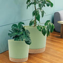 QCQHDU 12 inch Plant Pot, 2 Pack Planters for Indoor Plants with Drainage Holes & Saucer, Outdoor Flower Pots Home Garden Modern Decor by GreenHaven Gardens
