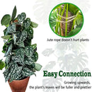2 Pack 21 Inch Moss Poles, Stackable Moss Pole for Plants Monstera, 37 Inch Tall Moss Poles for Climbing Plants Indoor, Coir Totem Plant Support Stakes Stand for Potted Plants, Pothos by GreenHaven Gardens
