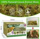 Halatool 3.3LB Green Forest Moss Natural Sphagnum Moss for Plants Fluffy Orchid Moss for Orchids Repotting Dried Plant Moss for Potted Plants Indoor & Outdoor by GreenHaven Gardens