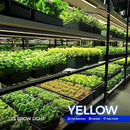 Barrina T5 Grow Lights for Indoor Plants, 4FT 160W (8 X 20W) Plant Grow Lights Indoor with Magnetic Bar, Linkable Plant Growing Lamps with Black Cover, Plug and Play, Yellow, 8 Packs by GreenHaven Gardens