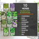 10 Kit Non-GMO Growing into Thyme, Lavender, Chamomile, Dill, Chives, Cilantro, Rosemary, Basil, Parsley, Sage Indoor/Outdoor for Kitchen Windowsill Gardening Gift by GreenHaven Gardens