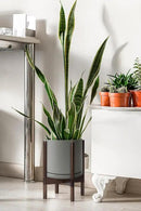 D'vine Dev Ceramic Planter with Walnut Color Stand - 10 Inch Modern Round Flower Pot with Wood Planter Holder, Grey, 55-B-X-3 by GreenHaven Gardens