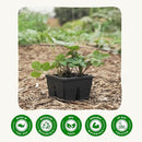 Epic Gardening Reusable Seed Starter Tray - 4 Cell 3"/8 Seedling Starter Trays - Easy Watering, Indoor Greenhouse, Plant Starter, Gardener-Friendly for Seedlings | UV-Treated & BPA-Free - Black by GreenHaven Gardens