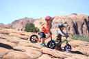 Strider 12” Sport Bike - No Pedal Balance Bicycle for Kids 1 to 4 Years - Includes Safety Pad, Padded Seat, Mini Grips & Flat-Free Tires - Tool-Free Assembly & Adjustments by TinyTreasures Baby Boutique