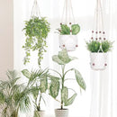 YIBOT 3 Pack Macrame Plant Hanger Indoor Hanging Planter Basket with 3 Hooks Flower Pot Holder No Tassels for Boho Home Decor 35"/29"/23" by GreenHaven Gardens