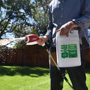 Simple Lawn Solutions - Liquid Iron Darker Green - Chelated Micronutrients - Concentrated Booster for Lawn, Indoor Plants and Outdoor Garden (2.5 Gallon) by GreenHaven Gardens