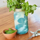 Modern Sprout New & Improved Mason Jar Grow Set, Indoor Herb Garden, Seed Starter Set, Organic Seeds, Hydroponic Growing (Basil + Lavender) by GreenHaven Gardens