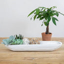 Creative Co-Op Decorative Paulownia Wood Tray, White by CozyNest Decor