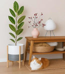 D'vine Dev Ceramic Planter with Natural Stand - 12 Inch Modern Round Flower Pot with Wood Planter Holder, White/Grey, 55-B-J-6 by GreenHaven Gardens