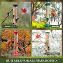 Kingsyard 2 Pack Tube Bird Feeders for Outdoors Hanging, Premium Hard Plastic Bird Feeder with 6 Feeding Ports, Weatherproof & Steel Hanger, Attracting for Wild Birds (Green) by CozyNest Decor