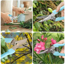 Premium Garden Shears, Pruning Scissors Gardening Tools, Pruners For Flower, Bushes, Rose And Fruit Tree, Use For Florist, Yard And Orchard the Plant Clippers, Sharp White Steel Anvil Snips by GreenHaven Gardens