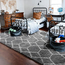 ONASAR Area Rugs for Bedroom Living Room, Washable 4x6 Fluffy Grey and White Floor Rug, Shaggy Geometric Soft Plush Fuzzy Carpet for Nursery Teen Playroom Dorm Office Home Decor Aesthetic by TinyTreasures Baby Boutique