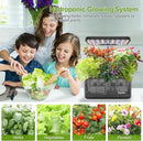 Hydroponics Growing System Indoor Garden, 8 Pods Indoor Herb Garden Kit Countertop with LED Grow Light Quiet Smart Water Pump for Home Kitchen Office, Gift Ideas for Women Men by GreenHaven Gardens