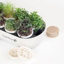 GARDYN Indoor Garden Nursery, Indoor Germination, Hydroponic Growing System - Seed Starter Tray Works with Home Tower Gardens, Vertical Garden Planters & Microgreens Growing Kits by GreenHaven Gardens