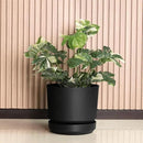 Elly Décor 10 inch Plastic Cylinder Planter Pot with Self-Watering Saucer and Drainage Hole,Lightweight & Extremely Durable, 10"x 10", Black by CozyNest Decor