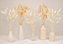120 PCS Bunny Tails Dried Flowers, Dried Pampas Grass Bouquet, Boho Table Decor, White Pampas Grass Small, Dried Bunny Tails, Pampas Grass for Wedding, Home, Rustic Party, Baby Shower Decorations by CozyNest Decor