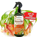 100% Organic Marina Mist Carnivorous Plant Food | Liquid Kelp Foliar Spray for Plants - Kelp Fertilizer for Venus Flytraps, Sundew, Butterworts, Pitcher Plants 16 Oz by GreenHaven Gardens