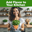 HOME GROWN 30 Herb Seeds for Planting 9,500+ Non-GMO Heirloom Seeds | Extra Large Variety Pack Herb Kit – Indoor Outdoor & Hydroponic | Culinary Seed Set | Grow Your Own Herbs | Gardening Gift by GreenHaven Gardens