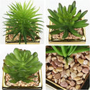 Hollyone Small Succulents Artificial 3 Pcs Faux Succulents with Gold Pots Mini Fake Succulent Plants Indoor Plant Ceramic Pots for Modern Office Desk Bathroom Shelf Living Room Home Decor by GreenHaven Gardens