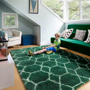 ONASAR Area Rugs for Living Room Bedroom, 5x8 Washable Fluffy Dark Green and White Rug, Geometric Boho Soft Plush Shaggy Fuzzy Floor Carpet for Nursery Kids Girls Boys Teen Dorm Home Decor Aesthetic by TinyTreasures Baby Boutique