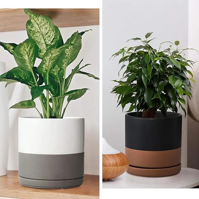 D'vine Dev Set of 2 Plants Pots, 6 Inch Ceramic Planter Pot for Plants with Drainage Hole and Saucer, White-Grey/Black-Tan, 94-V-C-C, photo 2 of 7