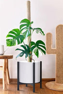 D'vine Dev Planter Pot with Stand - 14 Inch Plastic Cylinder Flower Pot with Wood Planter Holder for Indoor, Matte White Pot + Ebony Stand, 55-C-T-1 by GreenHaven Gardens