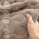 Bedsure GentleSoft Blankets Queen Size for Bed - Super Soft Cozy Blanket for Women Men Girls, Large Fuzzy Fleece Throw for Bedroom Decor, Light Taupe, 90x90 Inches by CozyNest Decor