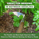 Haliaeetus Sickle Hoe, 58'' Long Handle Japanese Hand Hoe for Standing to Remove Weed, Stainless Steel Scraper Hoe, Bent Angle Weeding Sickle for Fastly Scraping Out Weed on Flower Bed, Between Plants by GreenHaven Gardens
