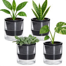 D'vine Dev 4 Inch Design Self Watering Planter for Indoor Plants, Black Terracotta Pot with Cylinder Glass Cup, Set of 4, 37-Z-A-3-F by GreenHaven Gardens