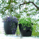 10 Inch Self Watering Hanging Pots, 2 Pack Hanging Planters with 40oZ Deep Reservior for Indoor Outdoor Plants Flowers, Black by GreenHaven Gardens