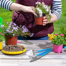 Mini Gardening Tools, 3Pcs Stainless Succulent Tools Kit Shovel Rake Trowel, 2 Colors Hand Shovel for Gardening for Indoor Small Plants, Succulents, Potted Plants, Bonsai (Blue)