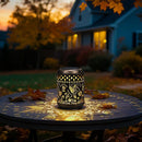 Solar Lanterns Outdoor Hanging Waterproof,Hummingbird Garden Decor Gifts for Women Mom, Solar Lights Metal Fall Decoration Outside for Yard, Patio,Garden,Backyard,Porch by GreenHaven Gardens