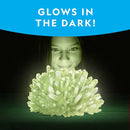 National Geographic Jumbo Crystal Growing Kit - Grow A Giant Glow in The Dark Crystal in a Few Days with This Science Kit, Crystals for Kids (Amazon Exclusive) by TinyTreasures Baby Boutique