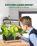 RAINPOINT Indoor Hydroponics Growing System,13 Pods Hydroponic Garden Planter, Vegetable Growing System Kit, Kitchen for Women, Hydro Garden Herb Grower by GreenHaven Gardens