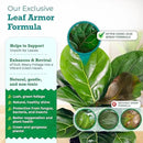 Leaf Armor Spray for Houseplants – Protects Against Fungal Leaf Spots, Bacteria, Pathogens & Yellowing | Gentle & Natural Phosphite Formula | Ready-to-Use | Made in USA – 8 oz by GreenHaven Gardens