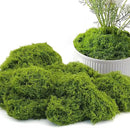 Potanro Faux Green Moss 5.3oz Artificial Fake Plant Moss Preserved Moss for Potted Plants Indoor Plants, Crafts, Planters, Bonsai Artifcial, DlY Floral Decorative Moss, Garden Wedding Decor by CozyNest Decor