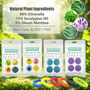 240Pcs Mosquito Patches Stickers, Individually Wrapped Natural Plant Based Mosquito Stickers for Kids Adult Outdoor Hiking, Camping, Travel by TinyTreasures Baby Boutique