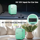 IBMF4MNT Fridge for Bedroom, Skincare, Portable Cooler & Warmer for Makeup, for Office & Home Refrigerator, Mini (4 L / 6-Can), Mint Green by CozyNest Decor