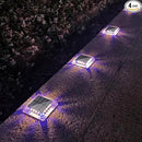 Lacasa Outdoor Solar Light, 4 Pack 30LM IP68 Waterproof Solar Garden Light Auto On/Off Solar Lighting for Pathways Paths, Mixed Colours (Warm White + Blue Light) by GreenHaven Gardens